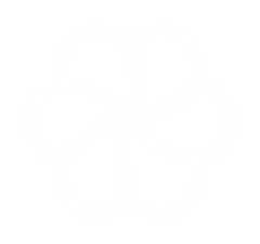 Solvi — Solvait AI assistant